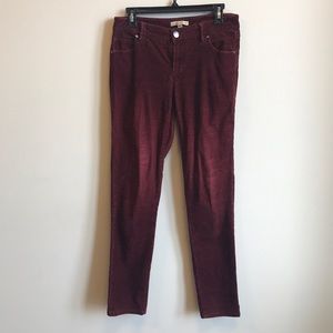 CAbi corduroy pants.